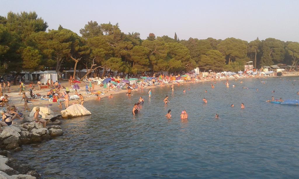 Apartments Davor Biograd Na Moru Εξωτερικό φωτογραφία